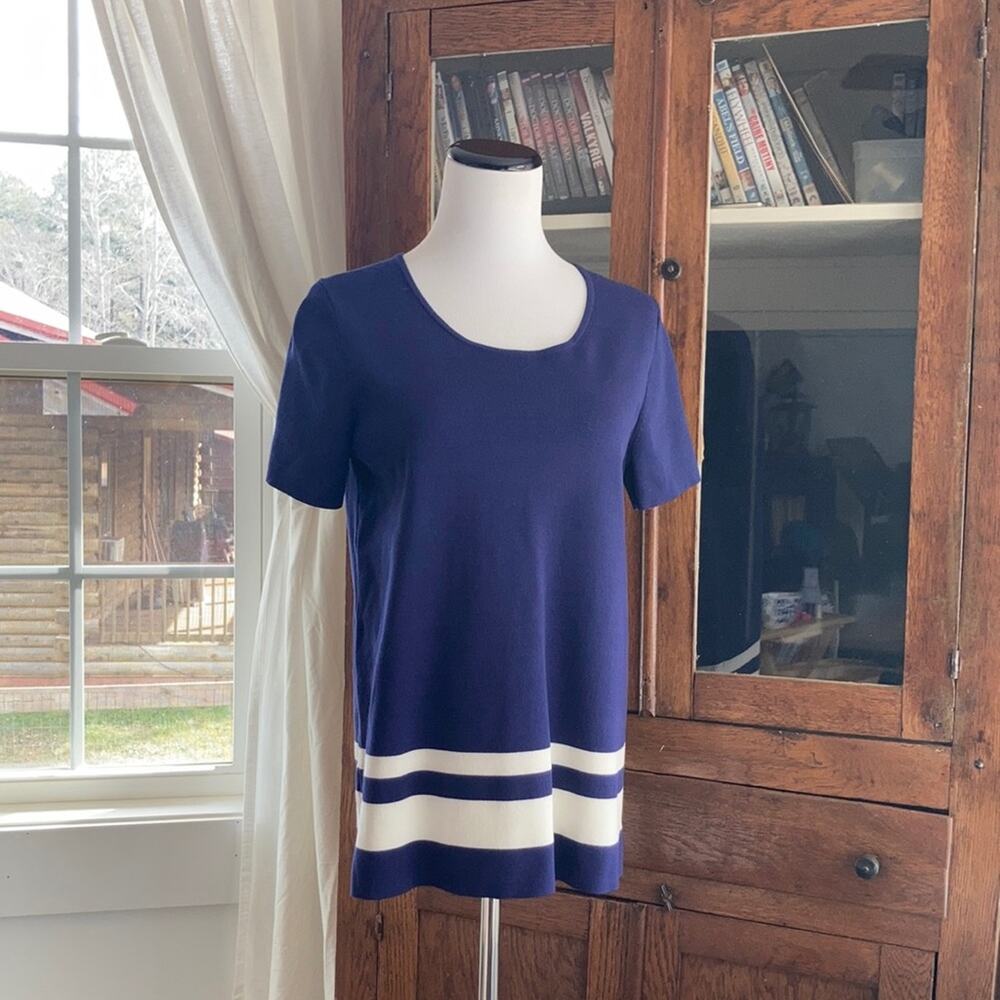 Banana Republic Blue & White Striped Pullover, Size M